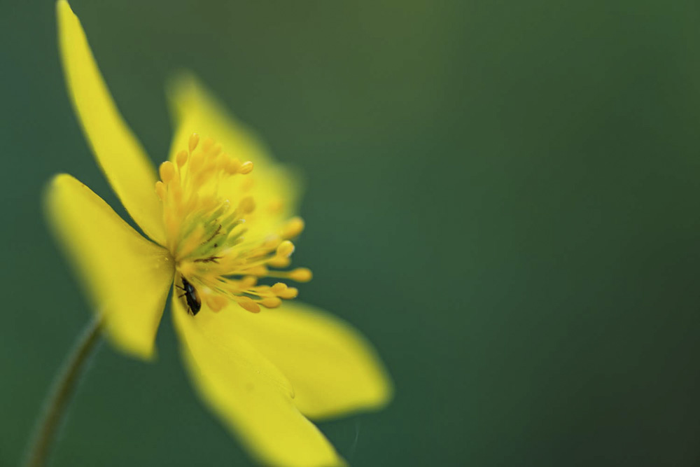 Platz 10 Christian Reichert